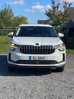 
										Kodiaq withe (Jant 20) full									
