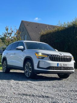 
										Kodiaq withe (Jant 20) full									