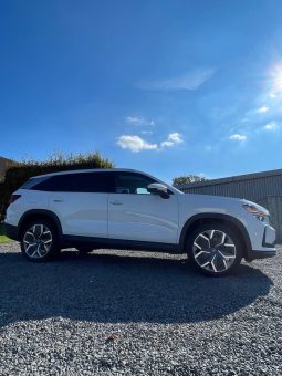 
										Kodiaq withe (Jant 20) full									