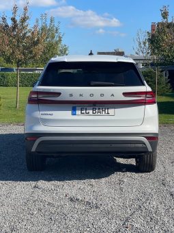 
										Kodiaq withe (Jant 20) full									